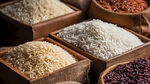 不同种类的米