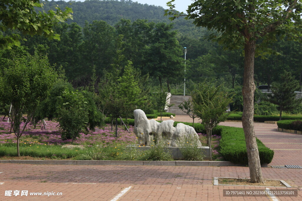 公园风景
