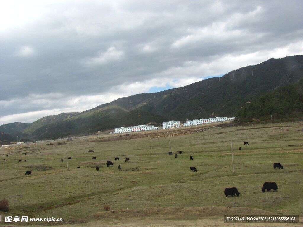 旅途风景