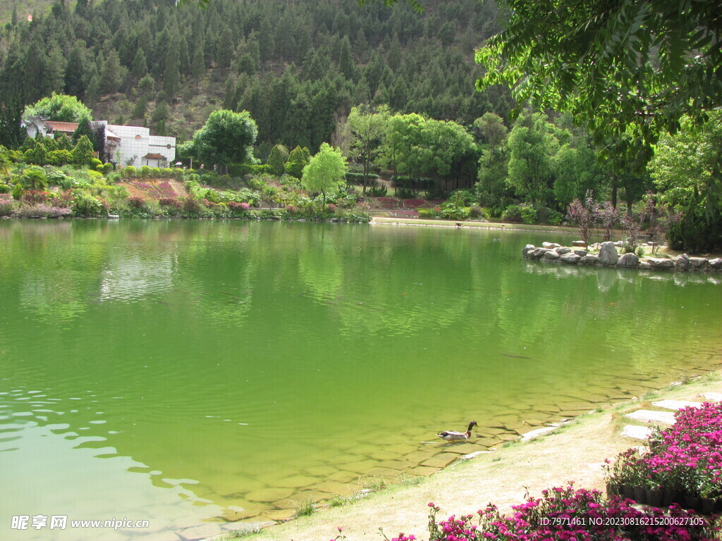 山水美景