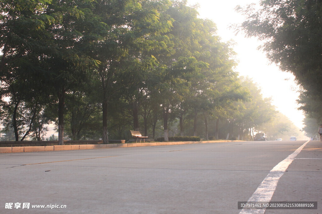 道路美景