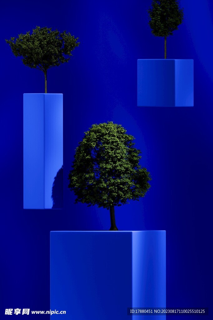 抽象立体造型