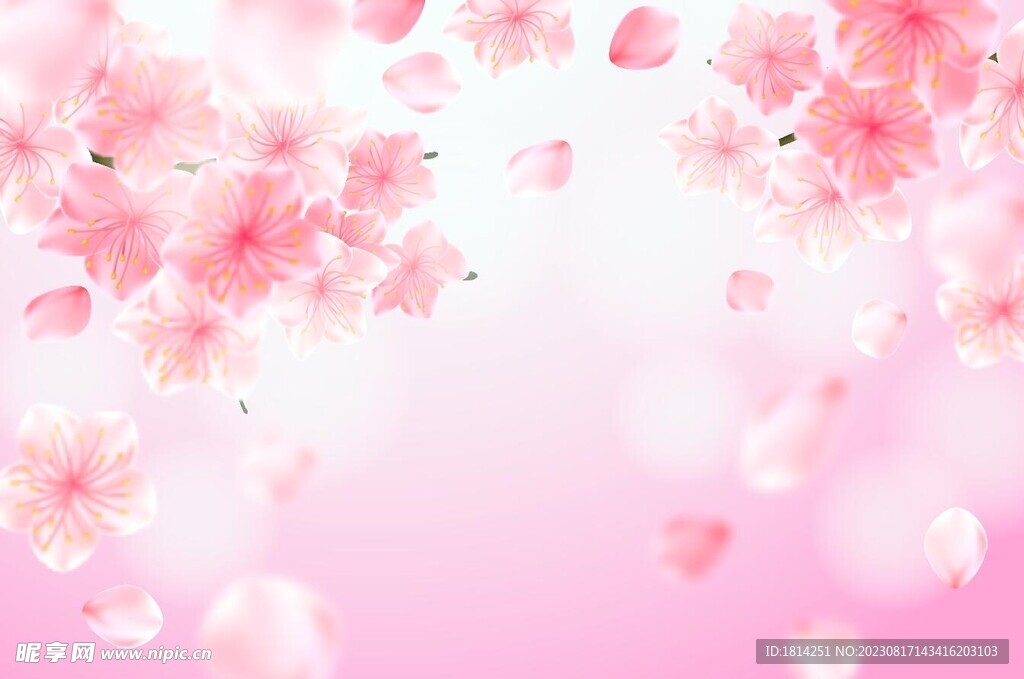 粉色花朵背景