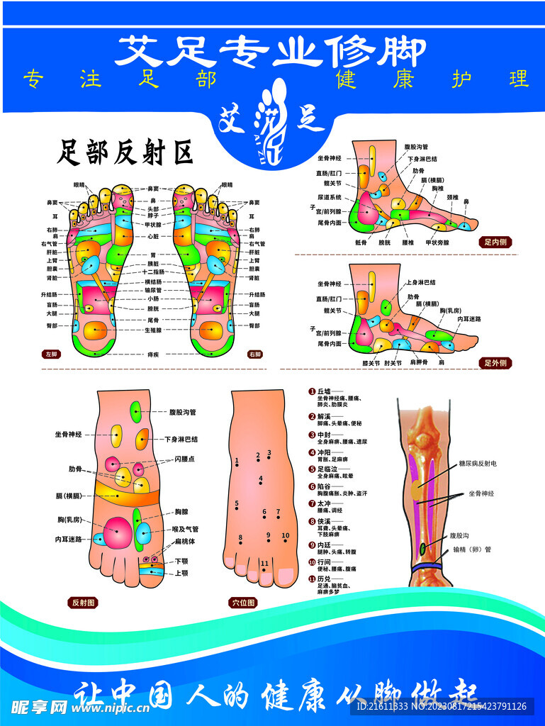 足部反射区