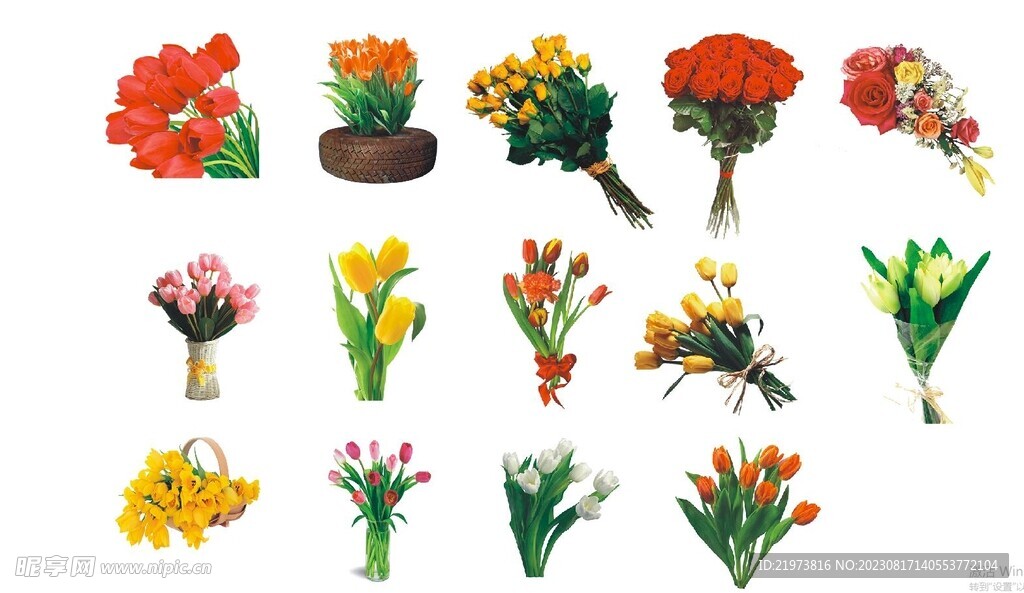 鲜花免抠