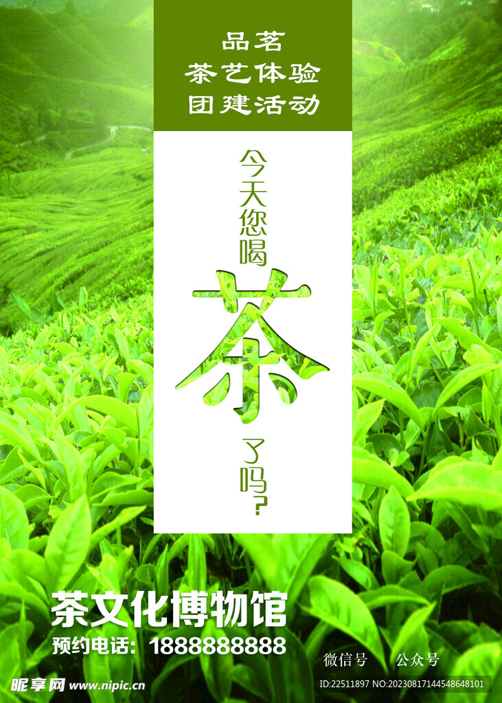 茶艺体验海报
