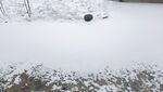 大雪