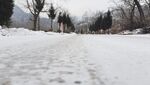 冬雪