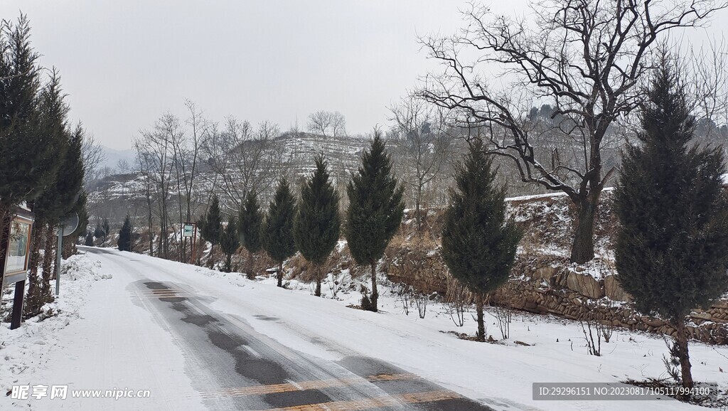 车辙积雪