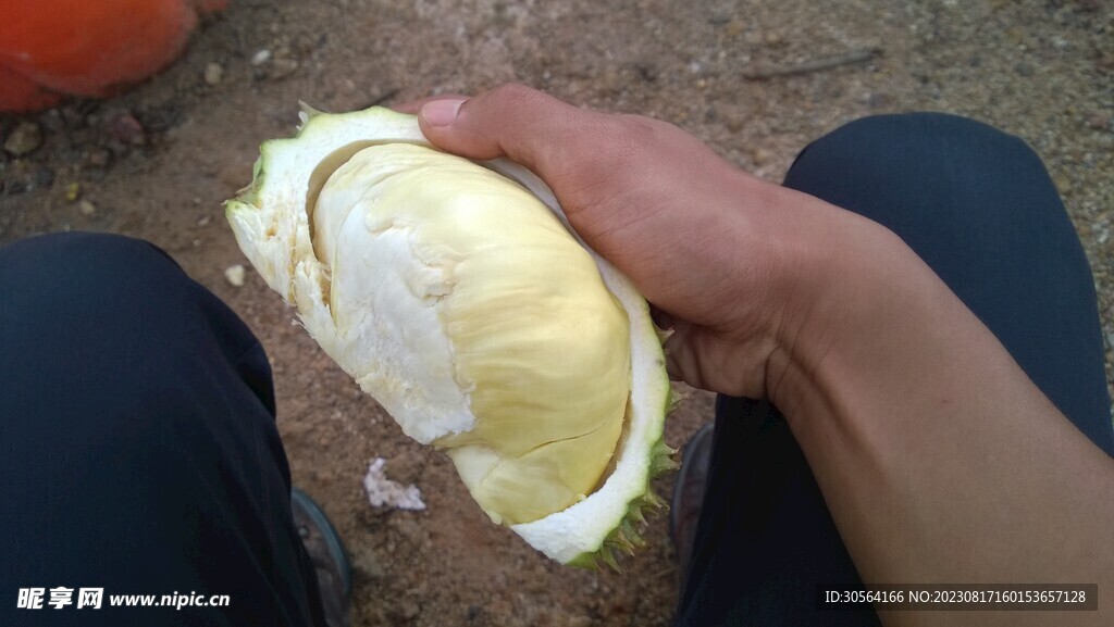 榴莲