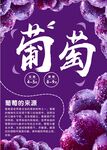 葡萄