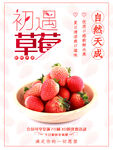 草莓