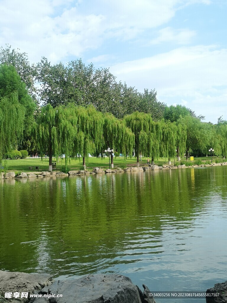 公园的小河