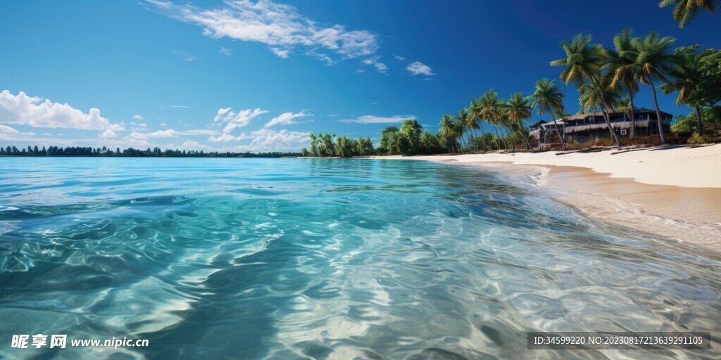 海滩风景  