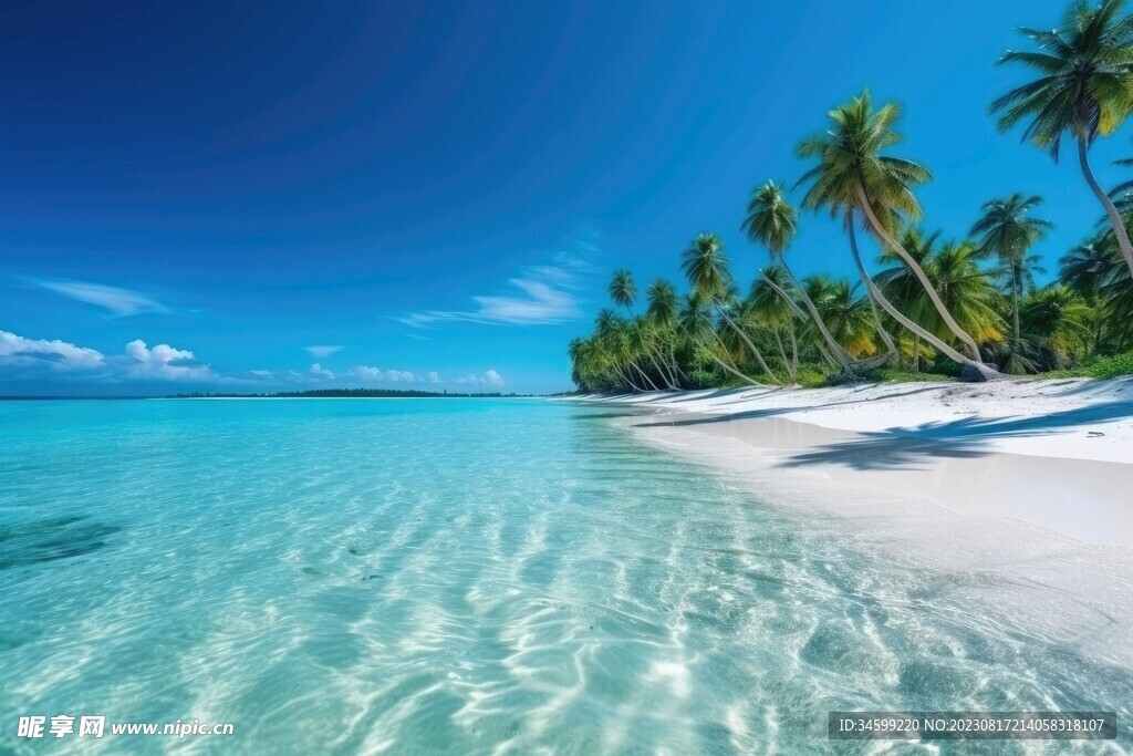 海滩风景  