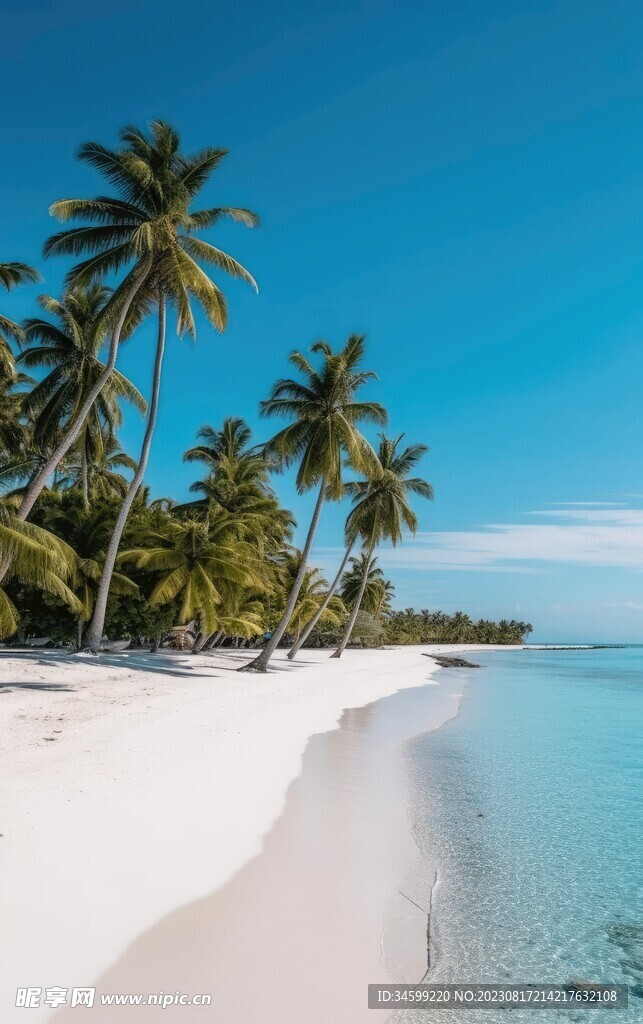 海滩风景  