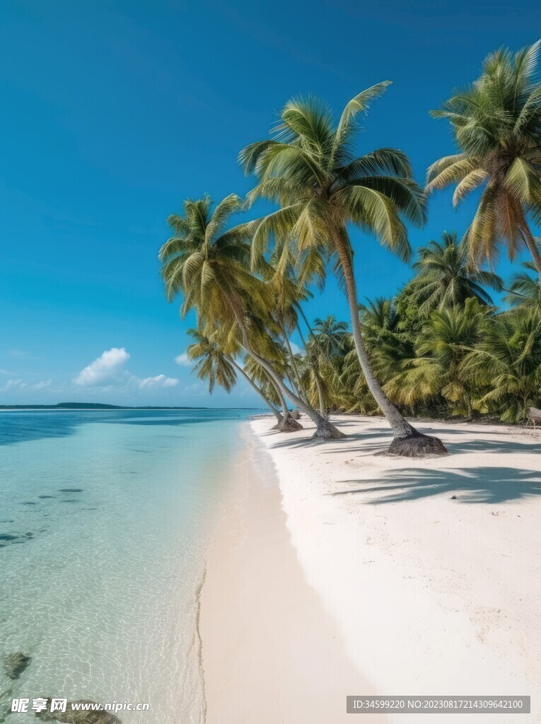 海滩风景  