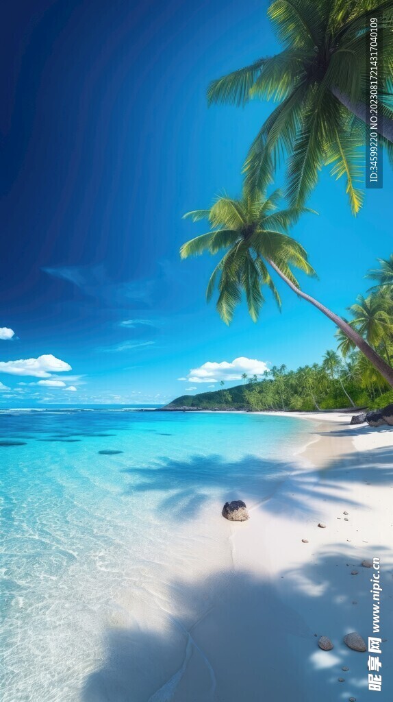 海滩风景  
