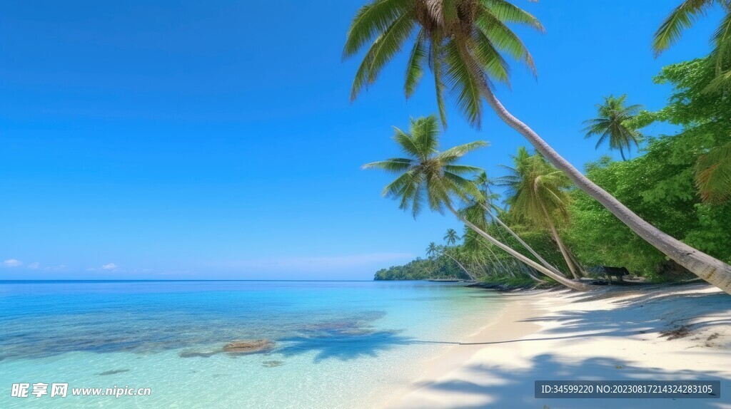 海滩风景  