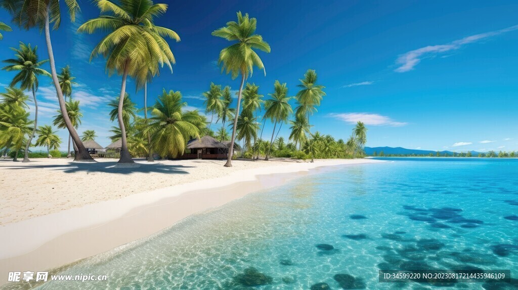 海滩风景  