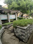 城市绿化