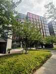 城市绿化 
