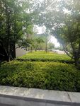 城市绿化