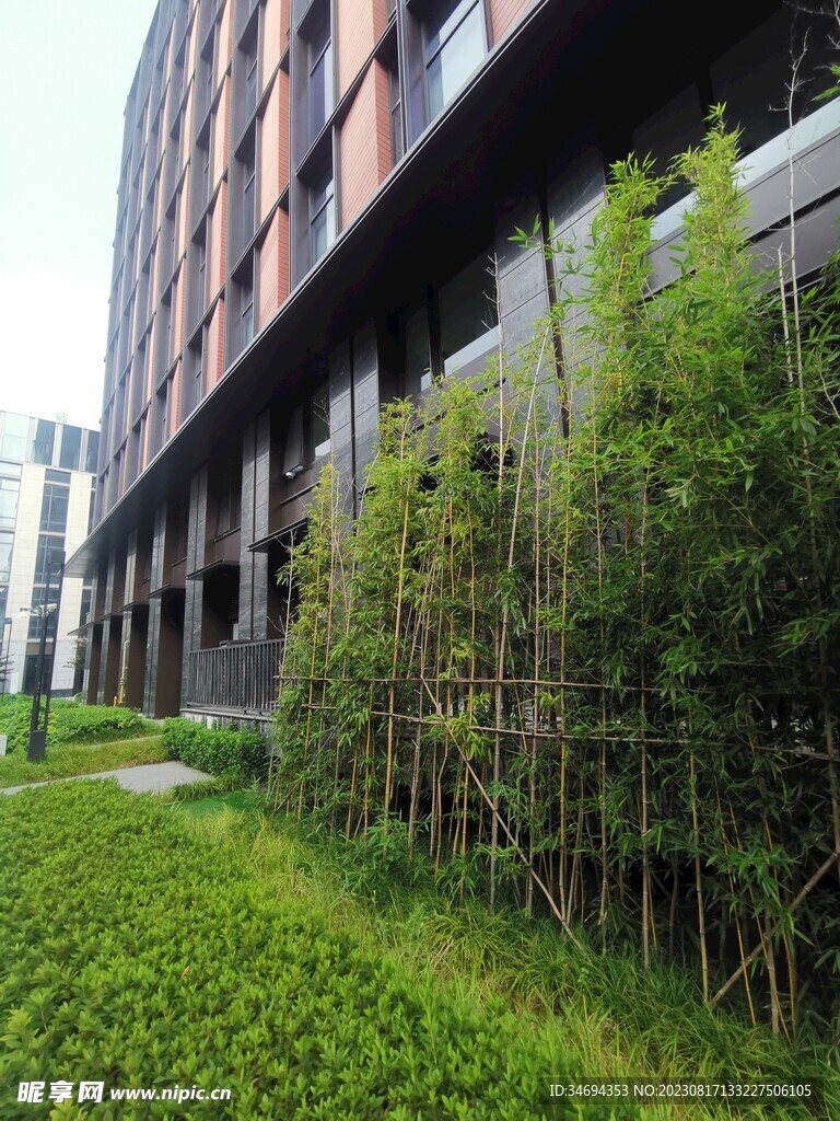 园区建筑植物