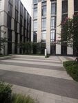 园区建筑 