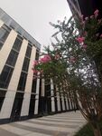 园区建筑  