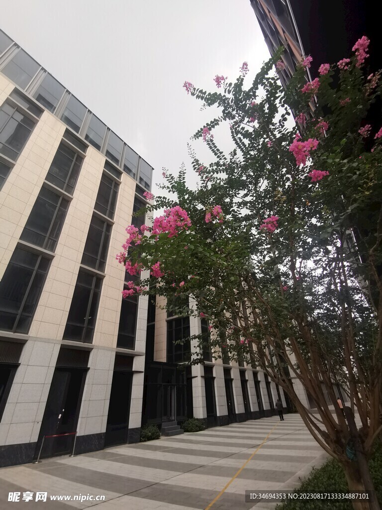 园区建筑  