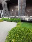 办公园区绿化