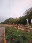 公园风景