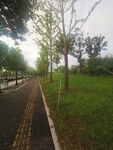 公园风景 