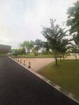 公园风景