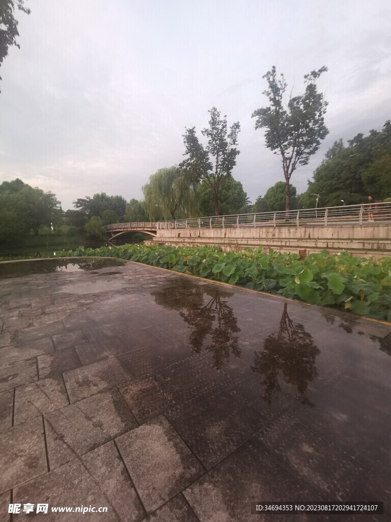 公园