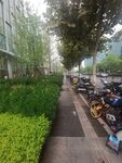 街道  