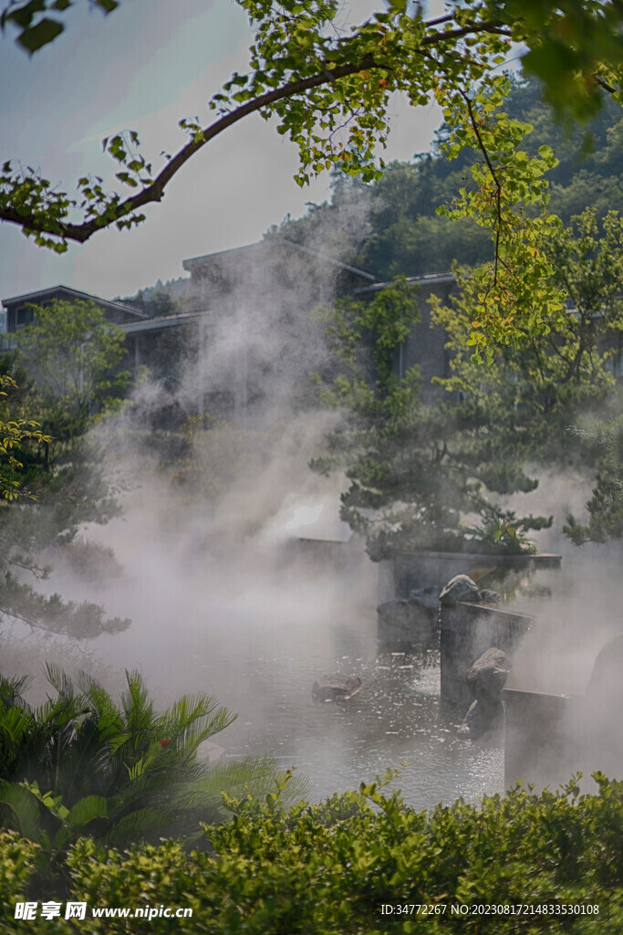 仙气飘飘