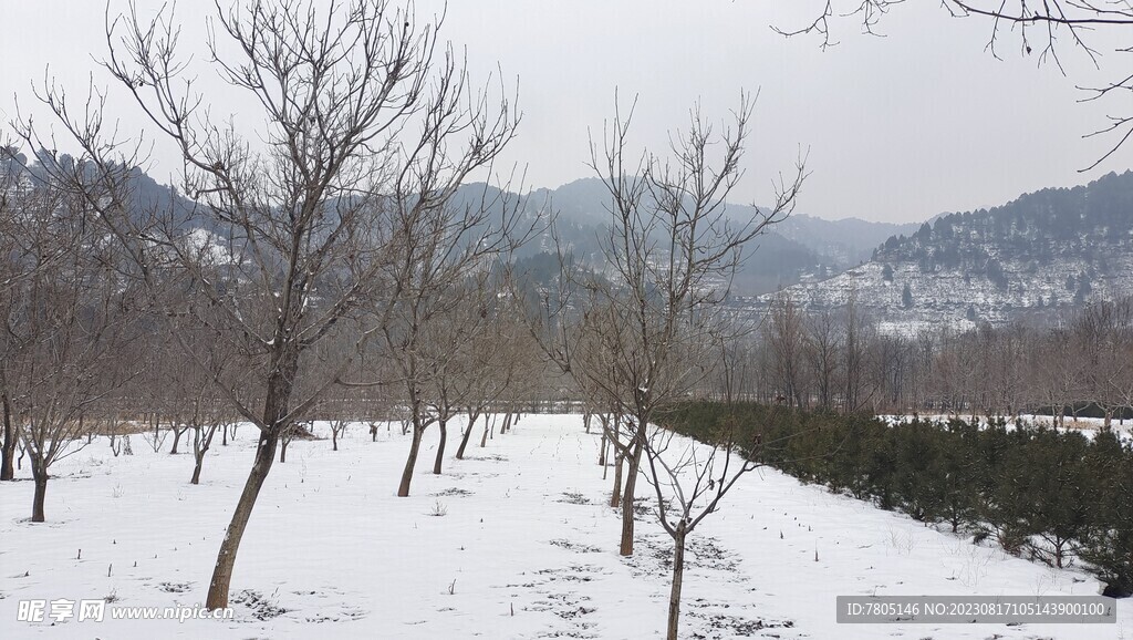 田地雪景