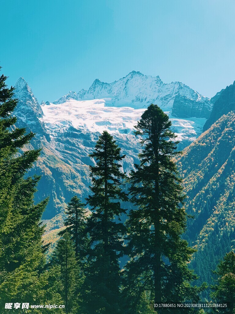 山林