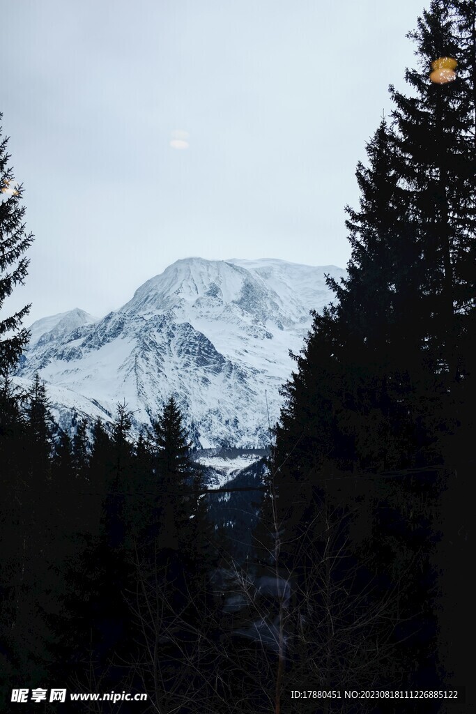 山林