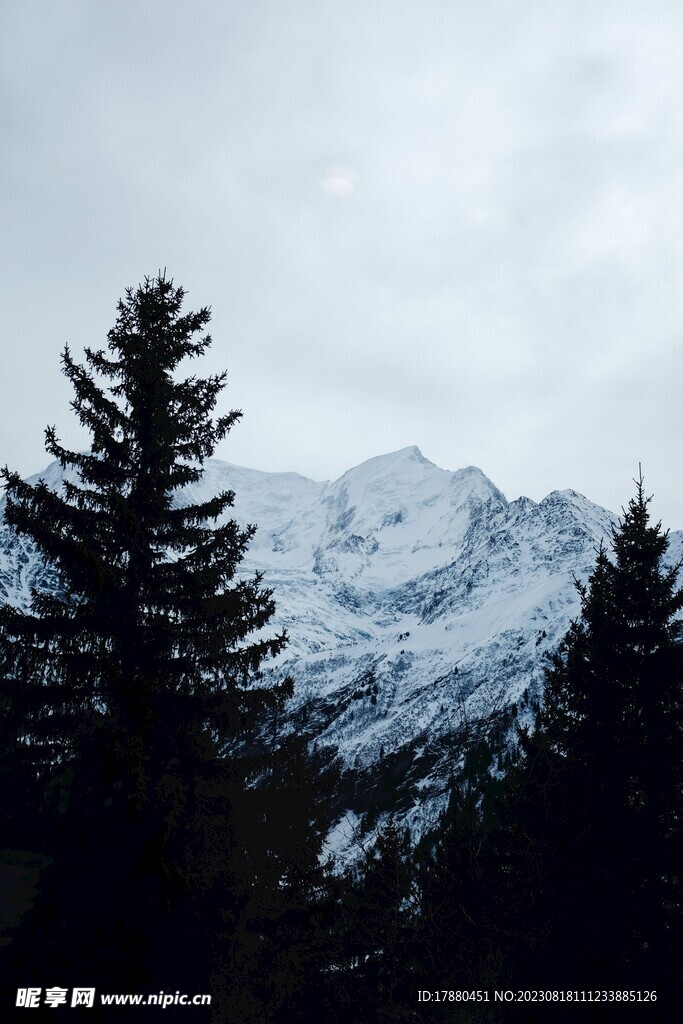 山林
