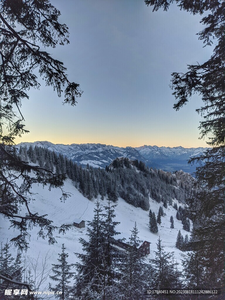 山林