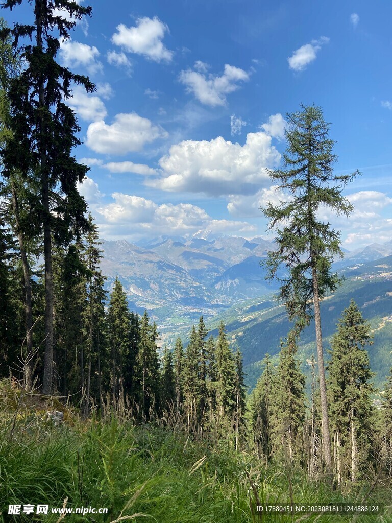 山林