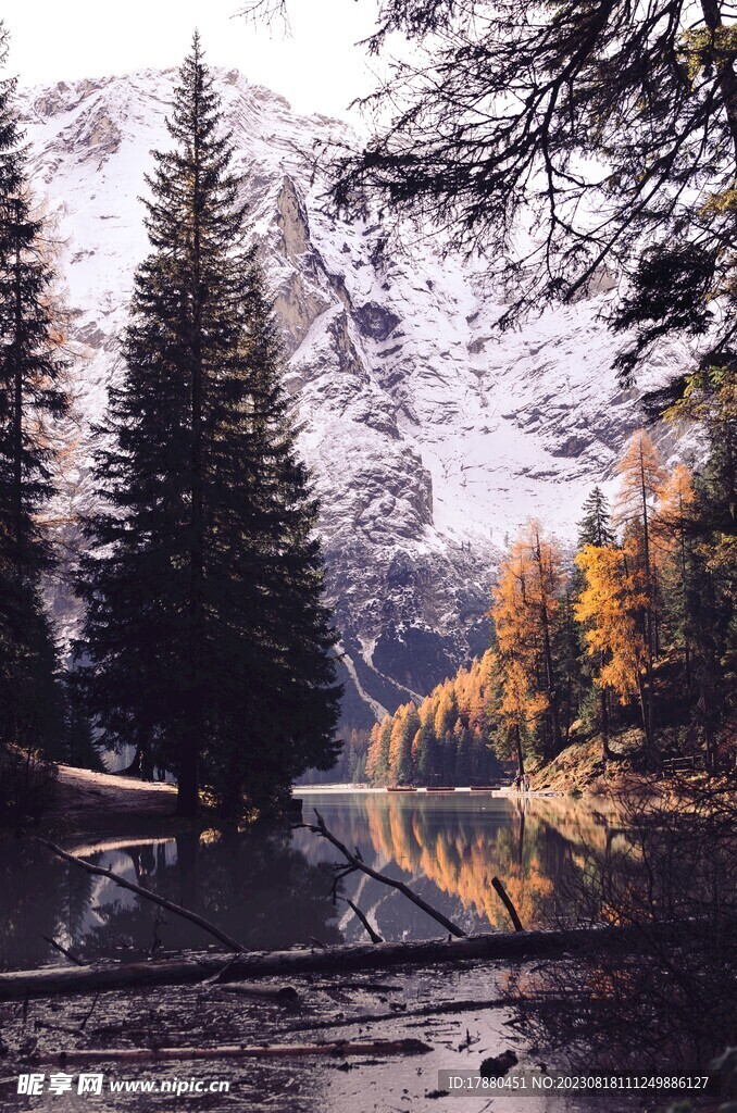山林