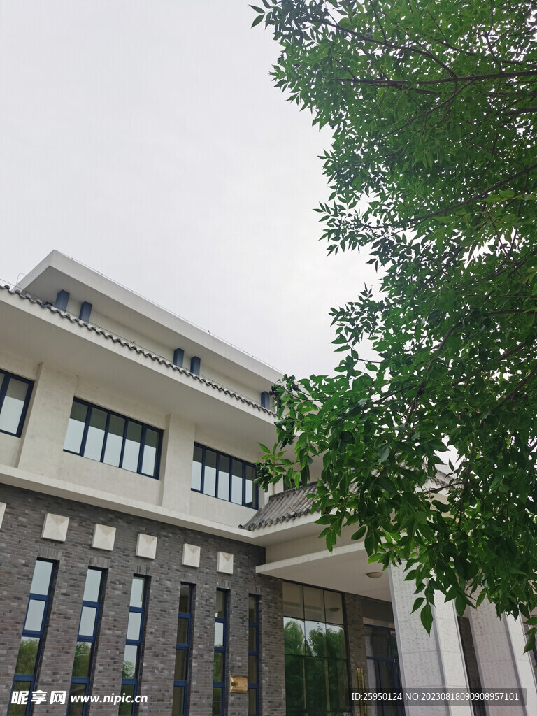 园区建筑