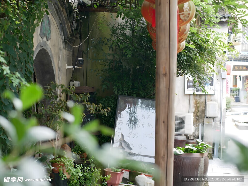 夏日的庭院