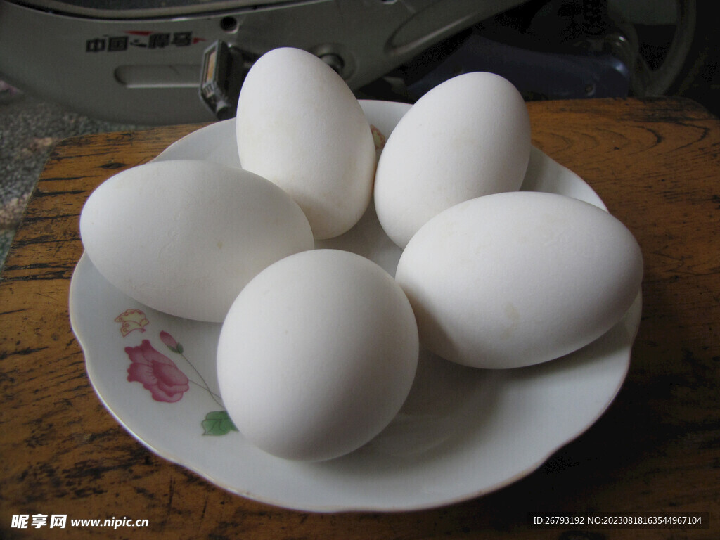 蛋壳雕刻【鹅蛋】|纯艺术|其他艺创|梦随心飞 - 原创作品 - 站酷 (ZCOOL)