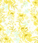 黄花