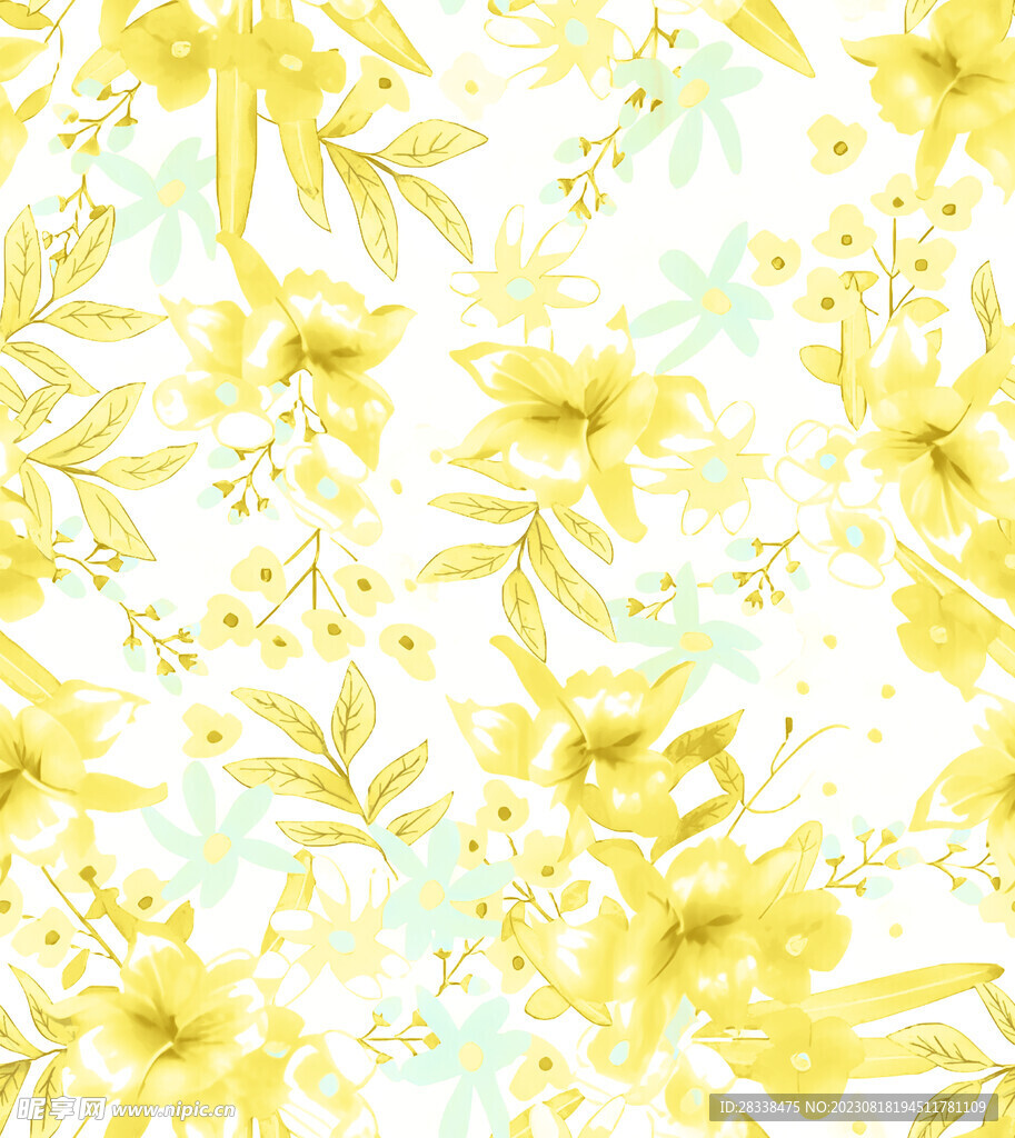 黄花